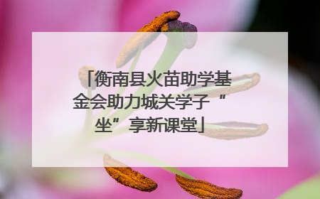 衡南县火苗助学基金会助力城关学子“坐”享新课堂