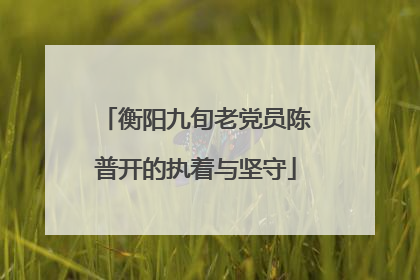 衡阳九旬老党员陈普开的执着与坚守