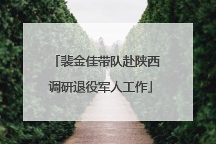 裴金佳带队赴陕西调研退役军人工作