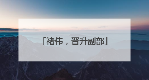 褚伟，晋升副部