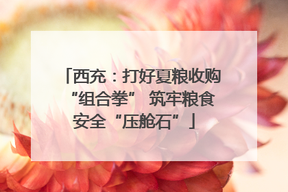 西充：打好夏粮收购“组合拳” 筑牢粮食安全“压舱石”