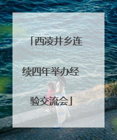 西凌井乡连续四年举办经验交流会