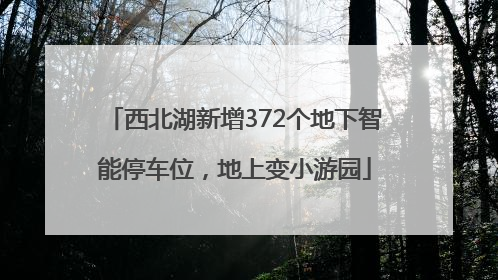 西北湖新增372个地下智能停车位，地上变小游园