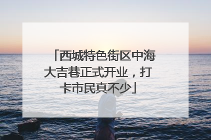 西城特色街区中海大吉巷正式开业，打卡市民真不少