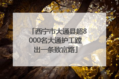 西宁市大通县超8000名大通护工蹚出一条致富路