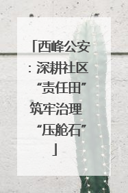 西峰公安：深耕社区“责任田” 筑牢治理“压舱石”
