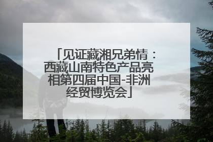 见证藏湘兄弟情：西藏山南特色产品亮相第四届中国-非洲经贸博览会