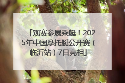 观赛参展乘艇！2025年中国摩托艇公开赛（临沂站）7日亮相