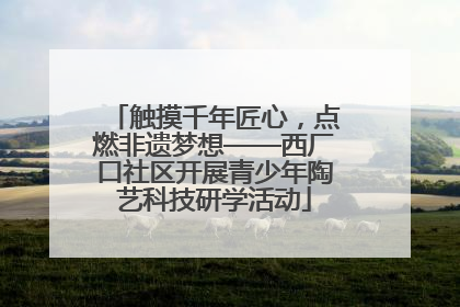 触摸千年匠心，点燃非遗梦想——西厂口社区开展青少年陶艺科技研学活动