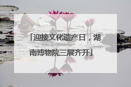 迎接文化遗产日，湖南博物院三展齐开