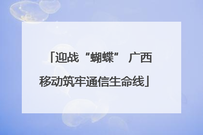 迎战“蝴蝶” 广西移动筑牢通信生命线