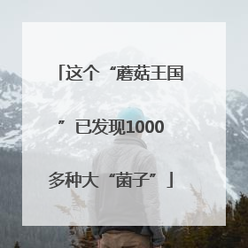 这个“蘑菇王国”已发现1000多种大“菌子”