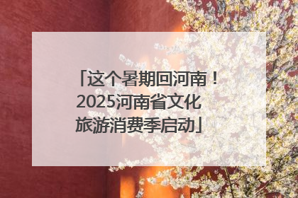 这个暑期回河南！2025河南省文化旅游消费季启动