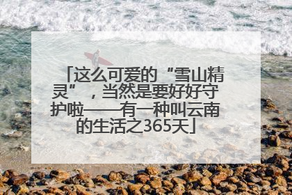 这么可爱的“雪山精灵”，当然是要好好守护啦——有一种叫云南的生活之365天