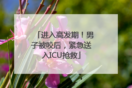 进入高发期！男子被咬后，紧急送入ICU抢救