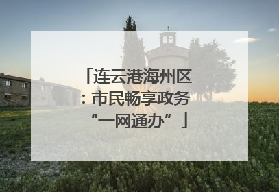 连云港海州区：市民畅享政务“一网通办”