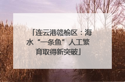 连云港赣榆区：海水“一条鱼”人工繁育取得新突破
