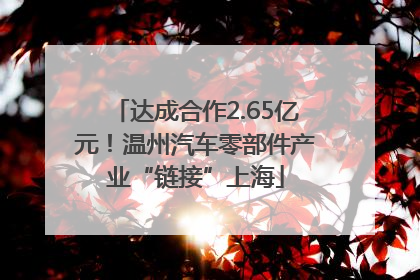 达成合作2.65亿元！温州汽车零部件产业“链接”上海