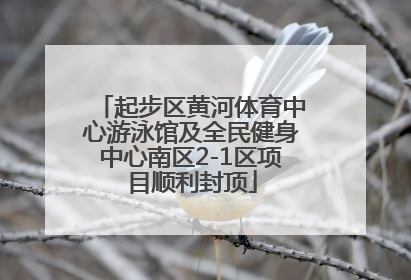 起步区黄河体育中心游泳馆及全民健身中心南区2-1区项目顺利封顶