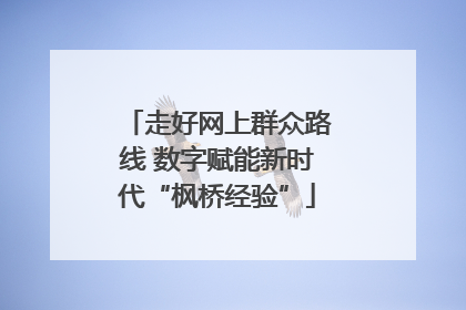走好网上群众路线 数字赋能新时代“枫桥经验”