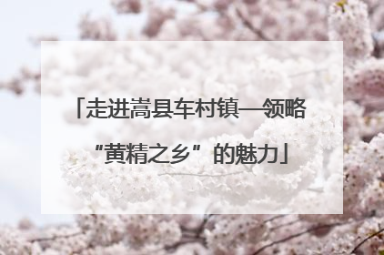 走进嵩县车村镇—领略“黄精之乡”的魅力