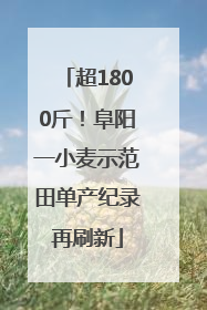 超1800斤！阜阳一小麦示范田单产纪录再刷新
