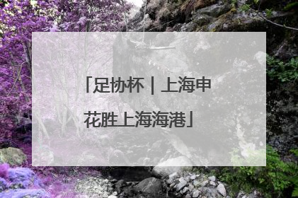 足协杯｜上海申花胜上海海港