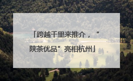 跨越千里来推介，“陕茶优品”亮相杭州