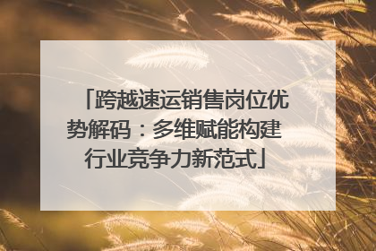 跨越速运销售岗位优势解码:多维赋能构建行业竞争力新范式