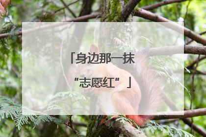 身边那一抹“志愿红”