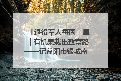 退役军人每周一星｜有机果栽出致富路——记益阳市银城南湖蔬果农民专业合作社总经理晏桂明
