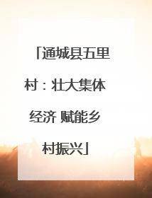 通城县五里村：壮大集体经济 赋能乡村振兴