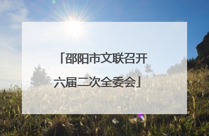 邵阳市文联召开六届二次全委会