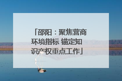 邵阳：聚焦营商环境指标 锚定知识产权重点工作