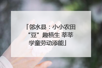 邻水县：小小农田“豆”趣横生 莘莘学童劳动添能
