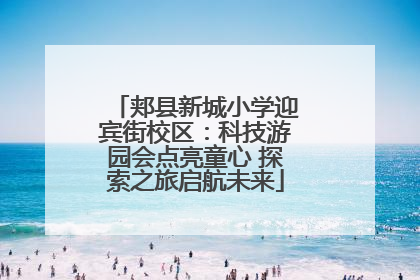 郏县新城小学迎宾街校区：科技游园会点亮童心 探索之旅启航未来