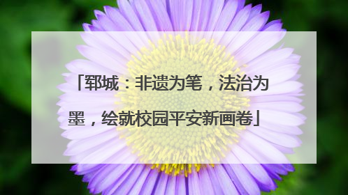 郓城：非遗为笔，法治为墨，绘就校园平安新画卷