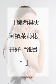 郧西县夹河镇茉莉花开好“钱景”