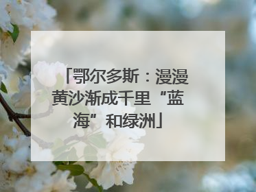 鄂尔多斯：漫漫黄沙渐成千里“蓝海”和绿洲