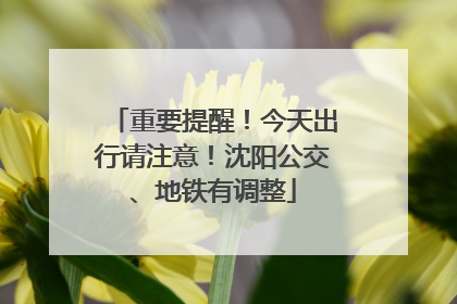 重要提醒！今天出行请注意！沈阳公交、地铁有调整