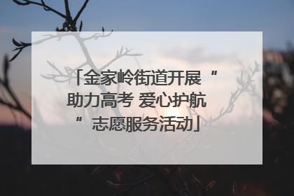 金家岭街道开展“助力高考 爱心护航”志愿服务活动