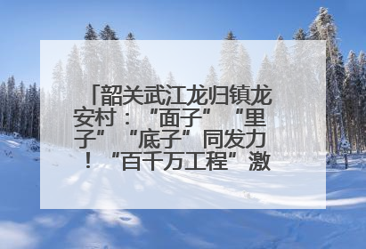 韶关武江龙归镇龙安村：“面子”“里子”“底子”同发力！“百千万工程”激活乡村新动能