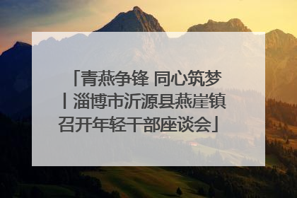 青燕争锋 同心筑梦丨淄博市沂源县燕崖镇召开年轻干部座谈会
