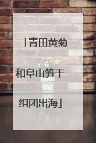青田黄菊和阜山笋干组团出海
