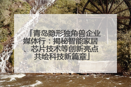 青岛隐形独角兽企业媒体行：揭秘智能家居、芯片技术等创新亮点 共绘科技新篇章