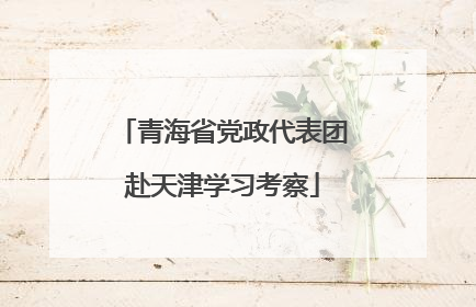 青海省党政代表团赴天津学习考察