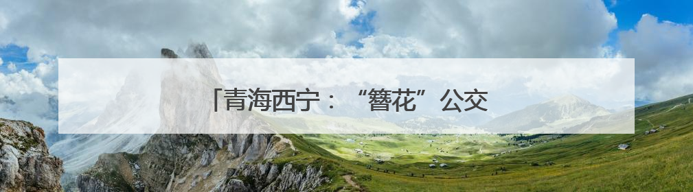 青海西宁：“簪花”公交车站扮靓城市“颜值”