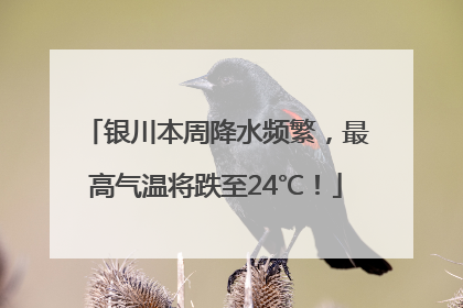 银川本周降水频繁，最高气温将跌至24℃！