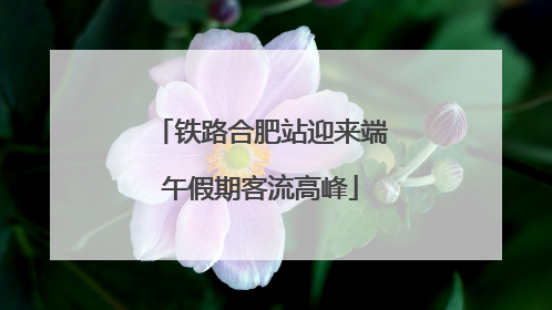 铁路合肥站迎来端午假期客流高峰