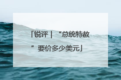 锐评｜“总统特赦”要价多少美元